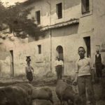 4-Pastorizia_Fano