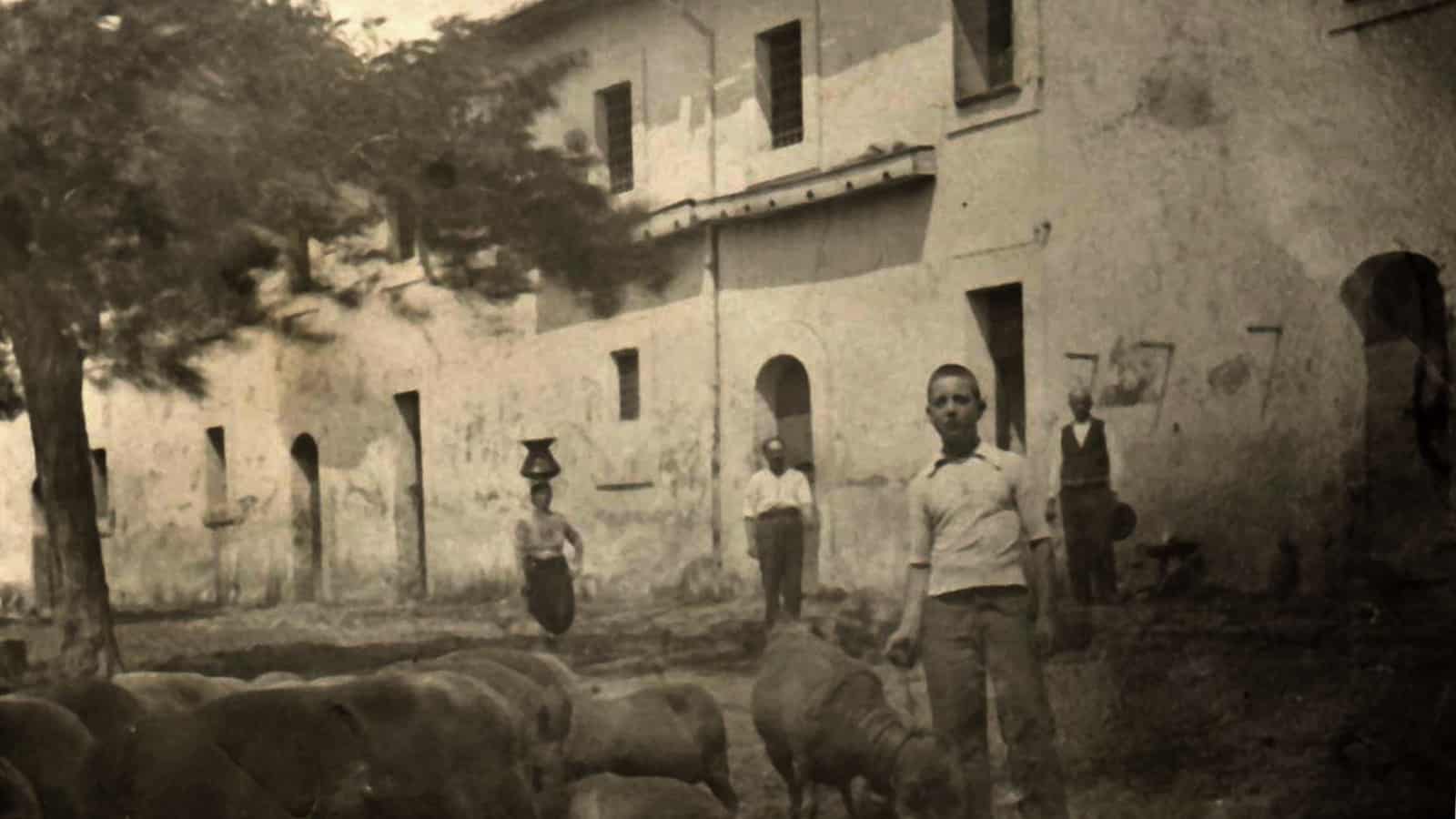 4-Pastorizia_Fano