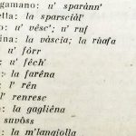 5-Lingua-pretarola