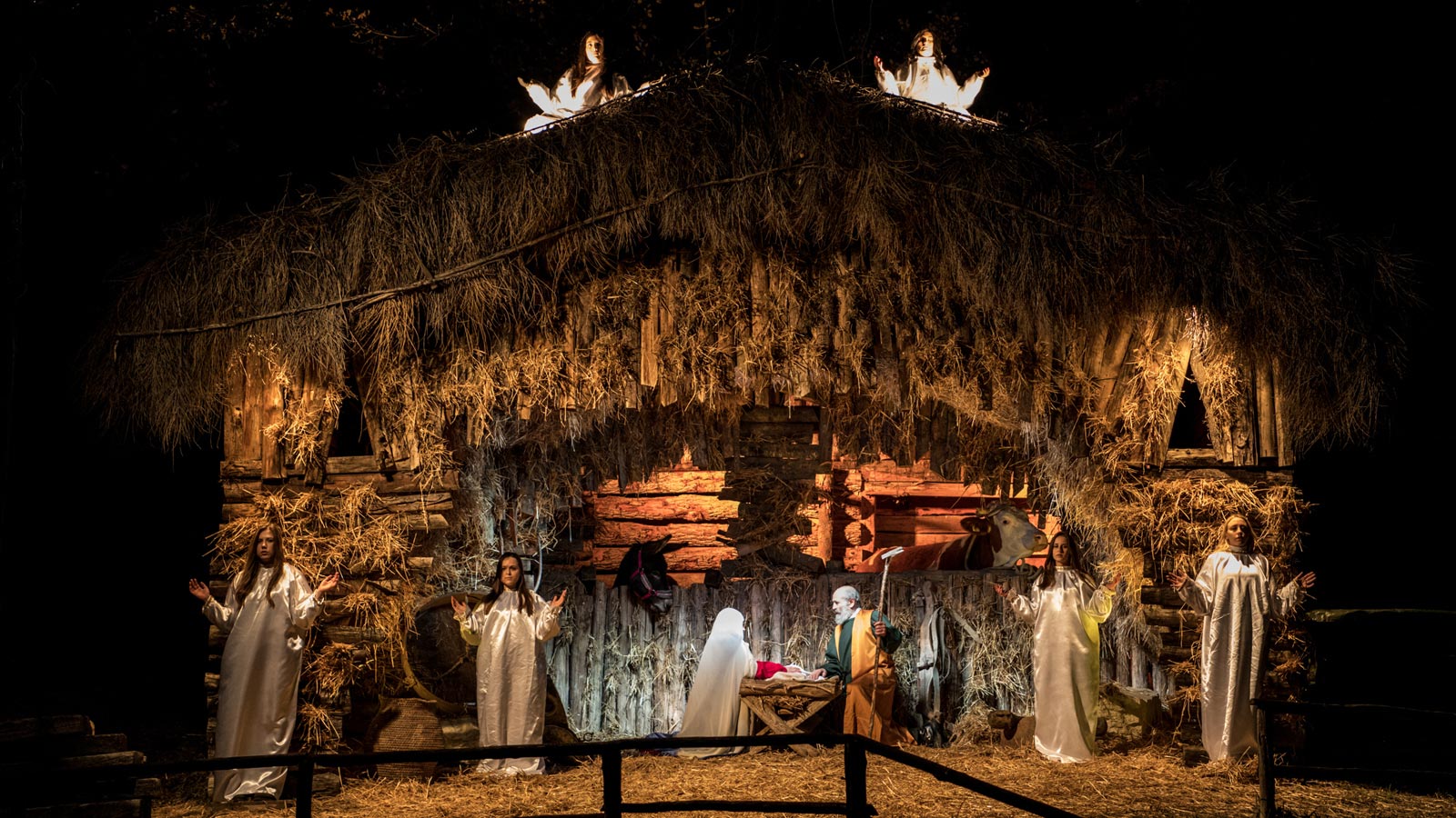 5-Presepe_low